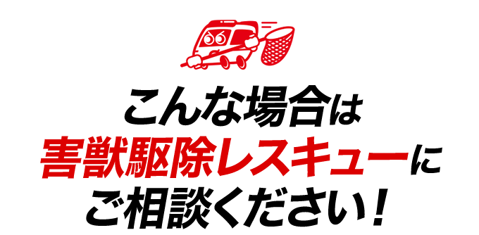 こんな場合は電気工事のレスキューにご相談ください！