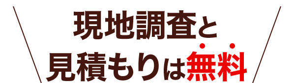 無料現地調査実施中